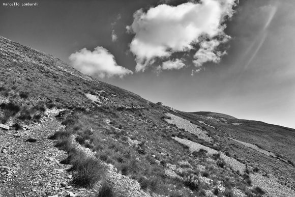 Foto di Marcello Lombardi