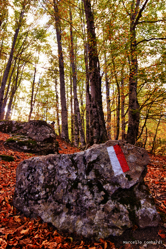 Segnaletica secondaria nel sentiero 950 nel Parco Nazionale del Pollino - Foto di Marcello Lombardi