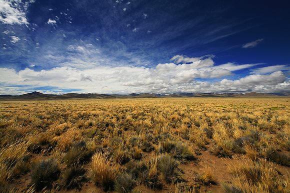 Patagonia Argentina - Foto di Marcello Lombardi