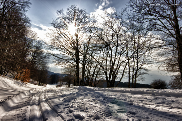 parco nazionale del pollino La strada per Piani di Ruggio - Foto di Marcello Lombardi