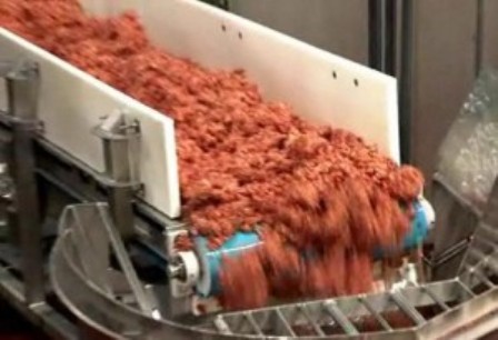 carne-separata-meccanicamente