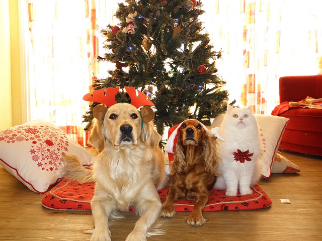 film da guardare a Natale