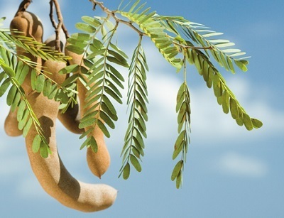tamarindo e frutta esotica