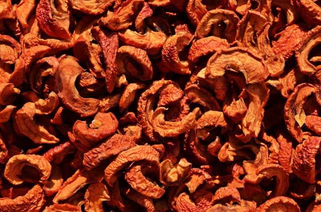 Mangiare insetti