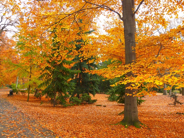 Autunno, poesia di pensieri, colori e sapori Autunno, poesia di pensieri, colori e sapori