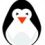 Pinguino Mag - Storie opinioni e interviste dal Web