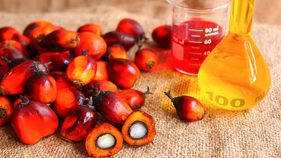 Il frutti della Palma da Olio e l'olio di palma