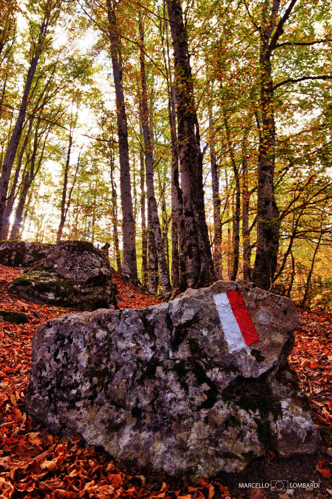 Il Parco Nazionale del Pollino e le sue meraviglie