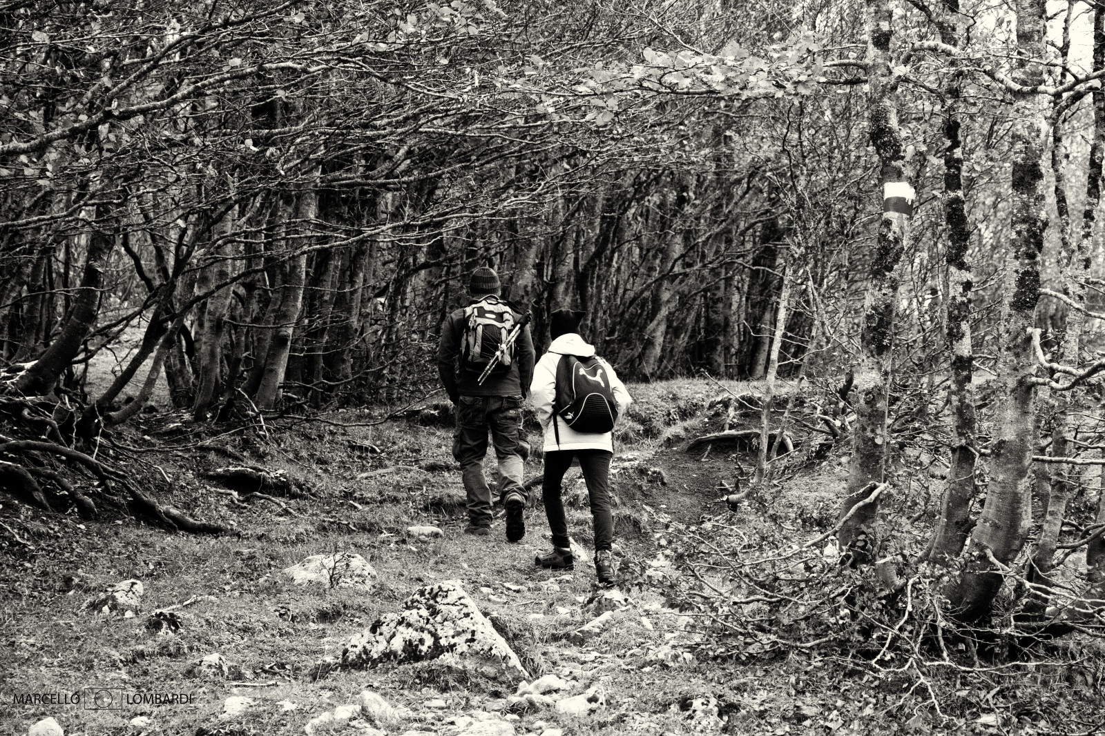 Il Parco Nazionale del Pollino e le sue meraviglie