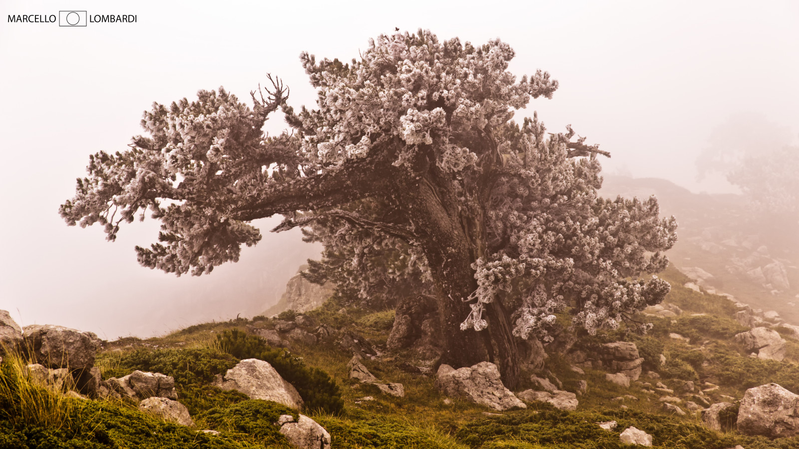 Il Parco Nazionale del Pollino e le sue meraviglie