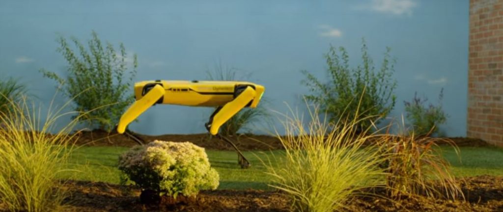 cane robot spot